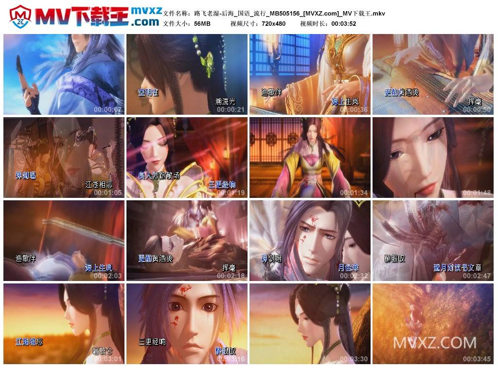 路飞老湿-后海_国语_流行_MB505156